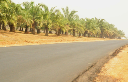 Community Residents Laud FERMA, FUNAAB As Road Reconstruction Booms Businesses